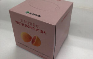 04.jpg